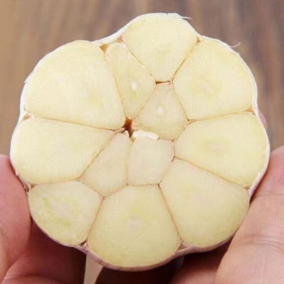 大蒜干蒜一件代发河南大蒜批发紫白皮大蒜头电商代发批发