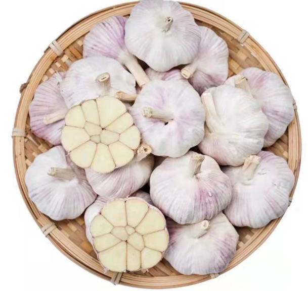 大蒜干蒜一件代发河南大蒜批发紫白皮大蒜头电商代发批发图3