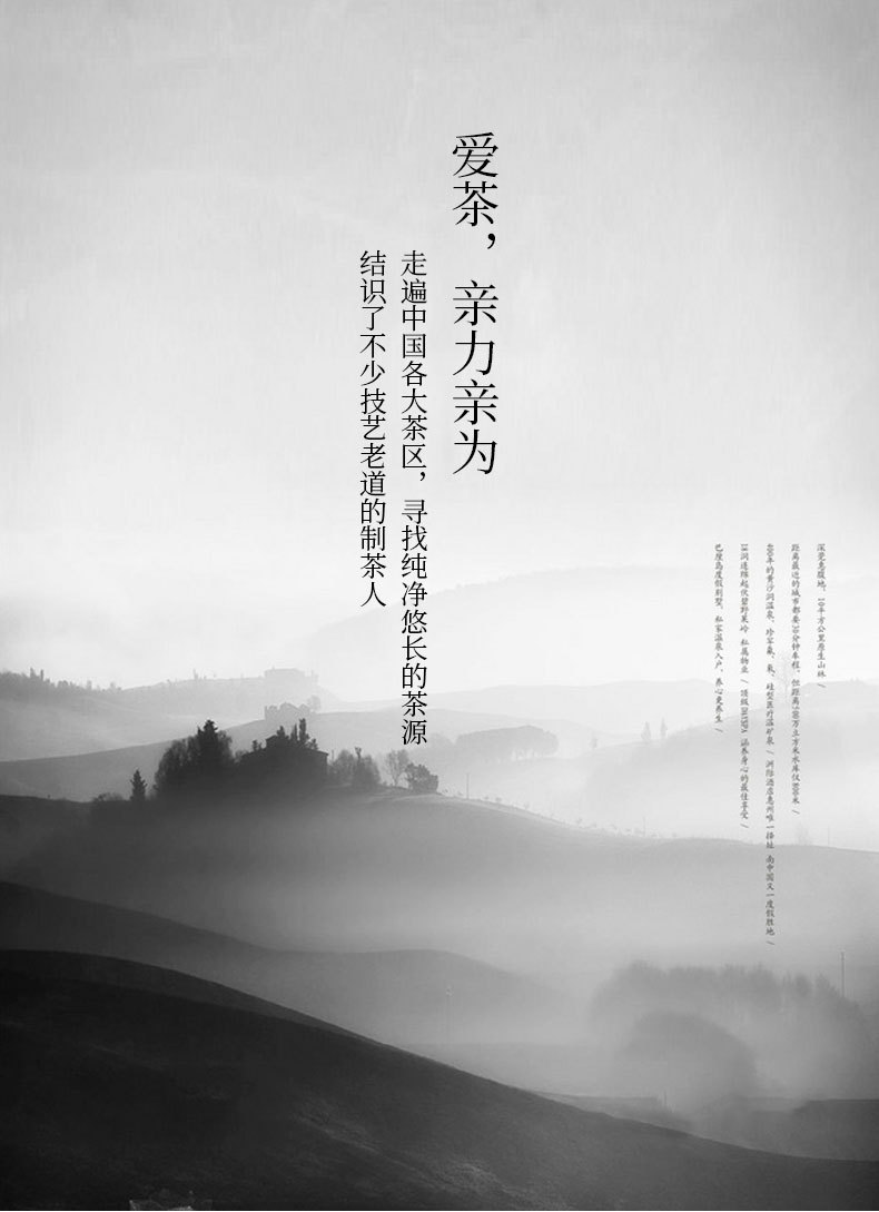 茉莉茶王_05