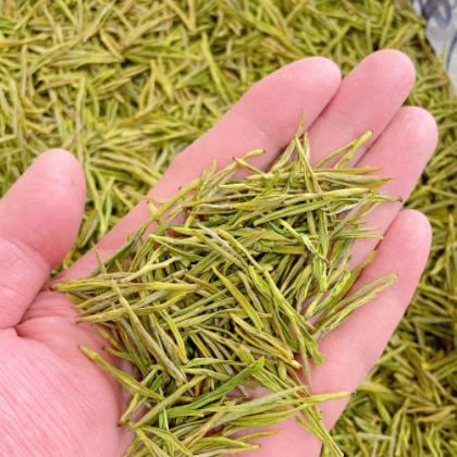 2022年产地直供明前优选黄金芽 浙江绿茶白茶茶叶现货散装批发图2