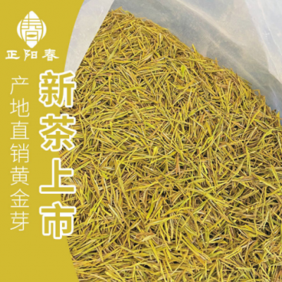 2022年产地直供明前优选黄金芽 浙江绿茶白茶茶叶现货散装批发