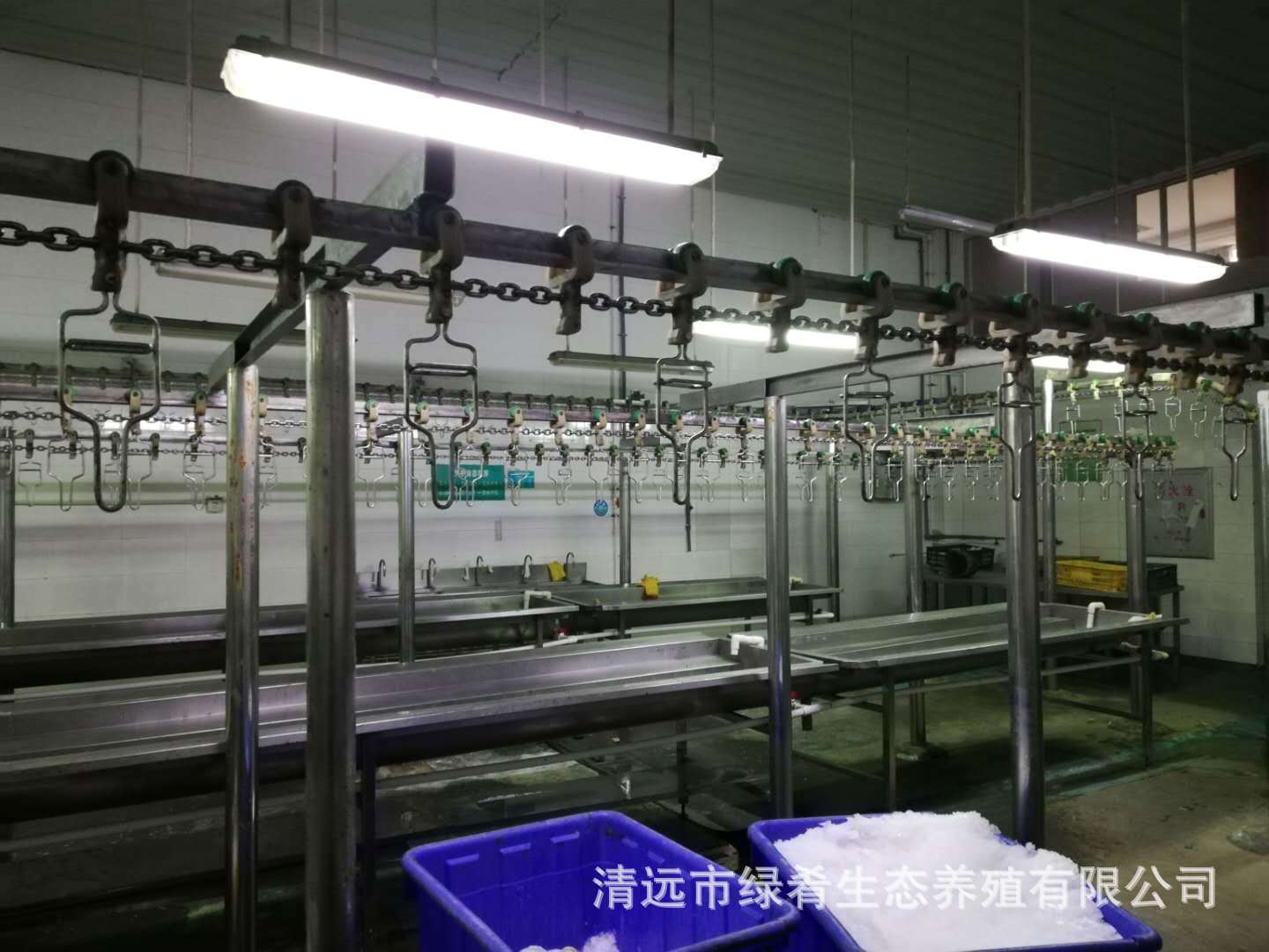 屠宰厂招聘照片3