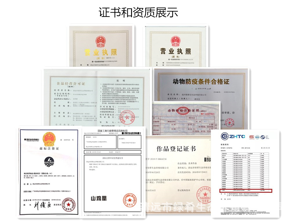 证书和资质展示