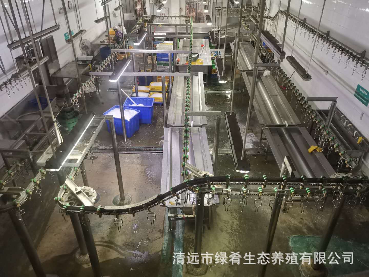 证书和资质展示