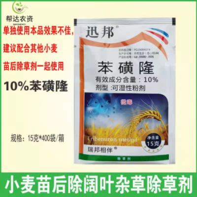 10%苯磺隆 小麦田除阔叶草播娘蒿荠菜猪殃殃农药除草剂15克/袋