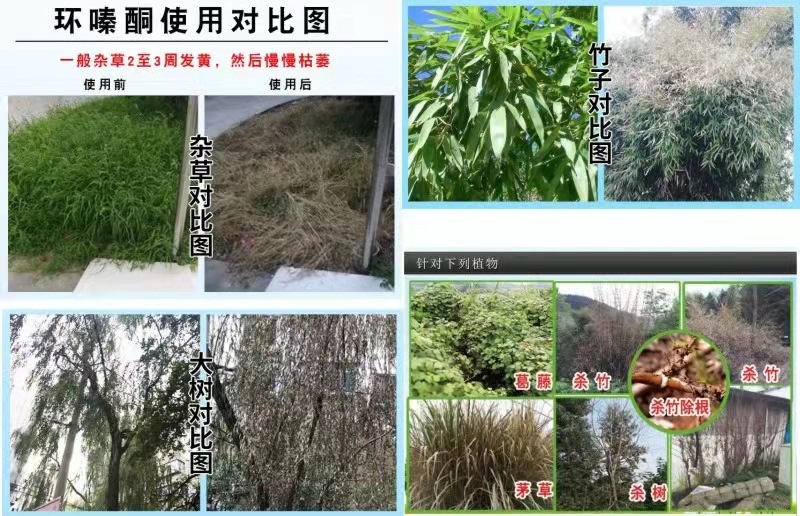 微信图片_20220312181317