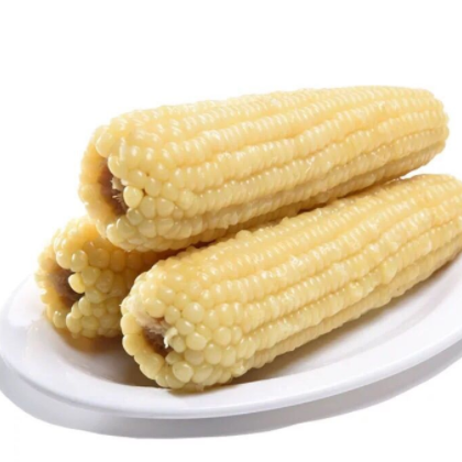 10根*300g 真空包装白糯玉米棒子软糯粘黏微甜 代餐批发社区现货图2