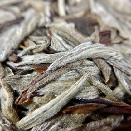 厂家直销月光白普洱茶357g 云南普洱茶 生茶现货茶饼批发图3