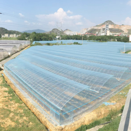 聚乙烯po膜PE长寿西瓜透明无滴葡萄加厚塑料薄膜农用大棚膜图2