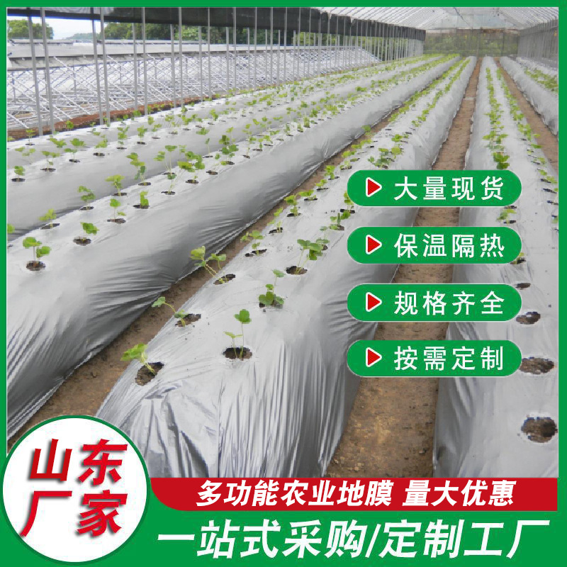 主图2