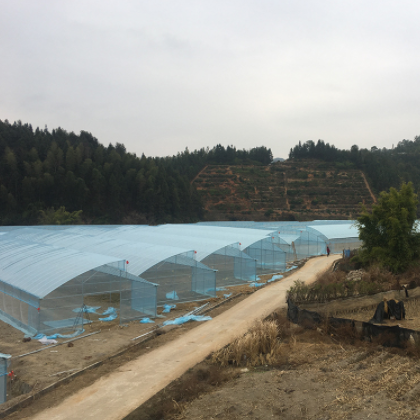 厂家批发无滴膜PO膜加厚塑料薄膜大棚膜蔬菜保温棚膜大棚塑料布图3