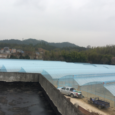 厂家批发无滴膜PO膜加厚塑料薄膜大棚膜蔬菜保温棚膜大棚塑料布