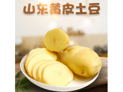 山东黄皮土豆 3/5/9斤新鲜蔬菜洋芋中大果非云南恩施马铃薯