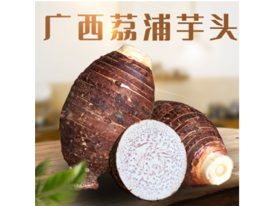 广西荔浦芋头代发4.5/斤装新鲜应季香糯魁芋农家自种毛芋头