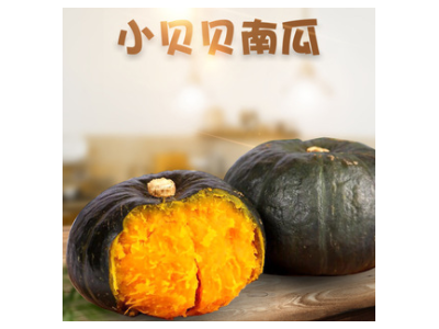贝贝小南瓜代发5斤礼盒山东板栗味粉糯宝宝辅食老瓜新鲜蔬菜