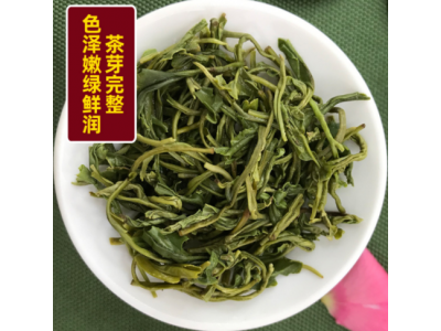 明前高山云雾绿茶 2022年早春春季绿茶上市 茶叶批发市场走量绿茶