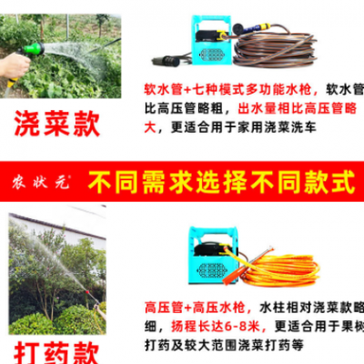 农用电动喷雾器手提式果树打药机抽水洗车机高压隔膜泵双泵机器