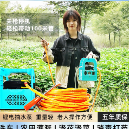 农用电动喷雾器手提式果树打药机抽水洗车机高压隔膜泵双泵机器图2