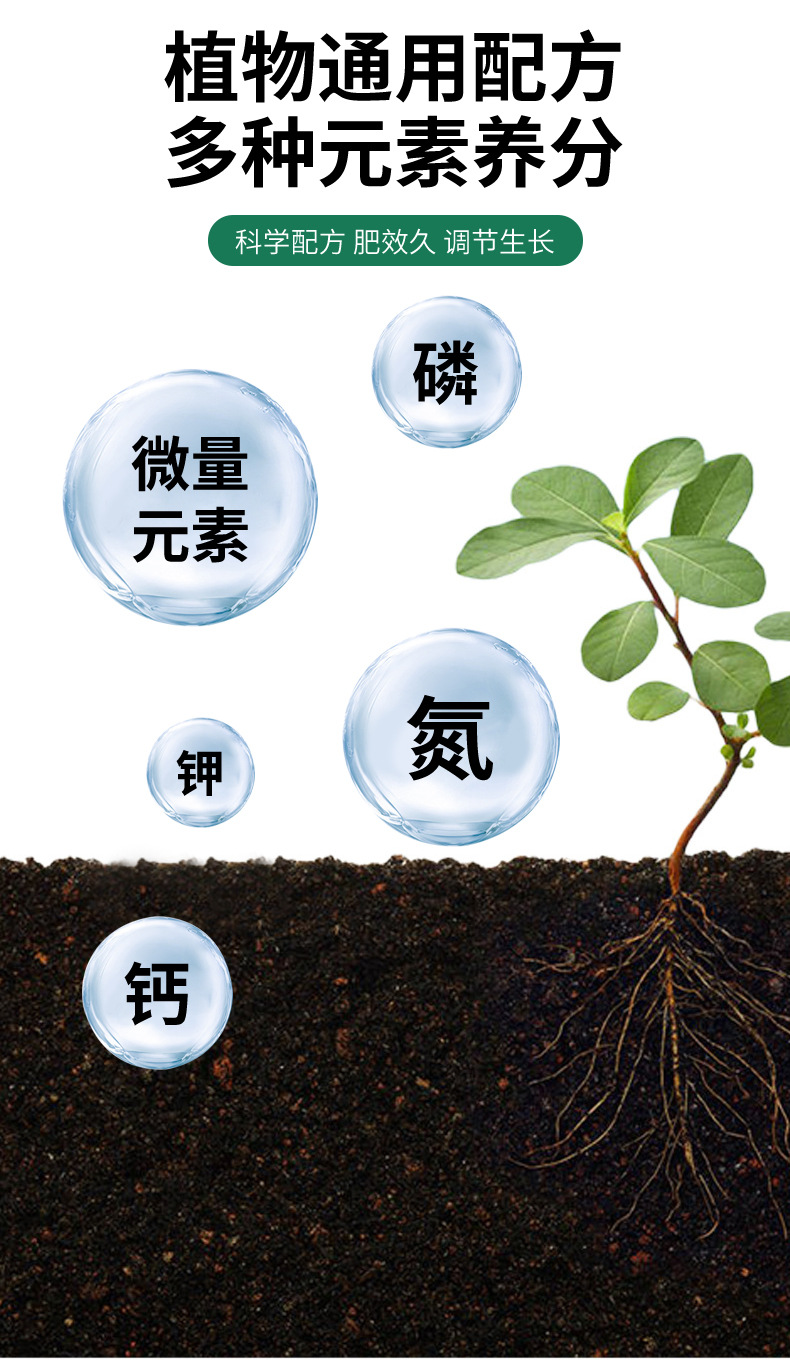 详情_03.jpg
