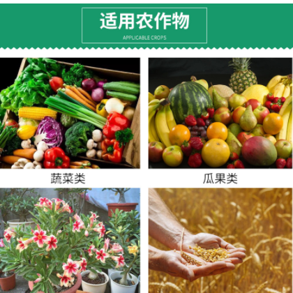 厂家批发含腐殖酸水溶肥生根壮苗瓜果蔬菜土壤营养液保花果有机肥图2