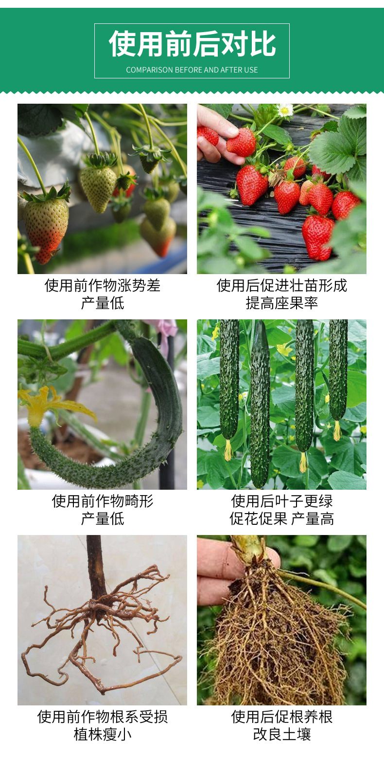 详情_06.jpg