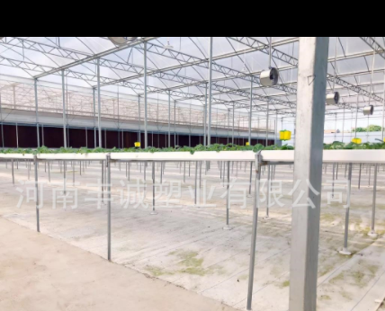 全新料白色防老化防草地布反光加厚除草布透气透水白色地布图2