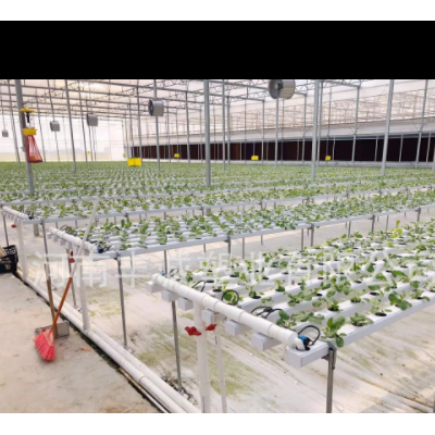 全新料白色防老化防草地布反光加厚除草布透气透水白色地布