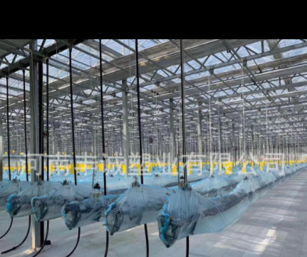 全新料白色防老化防草地布反光加厚除草布透气透水白色地布图3