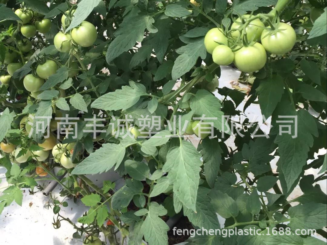 微信图片_20201210151249.jpg