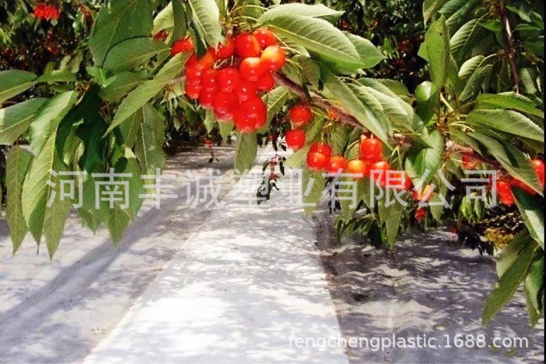 微信图片_20200925173820.jpg