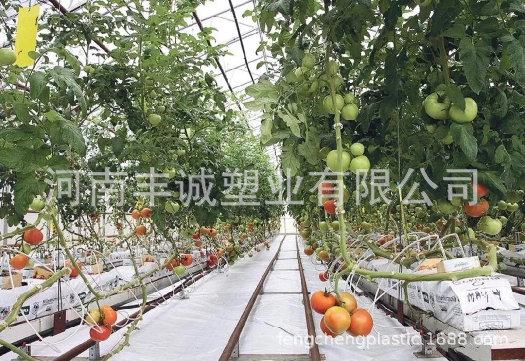 微信图片_20200925173817.jpg