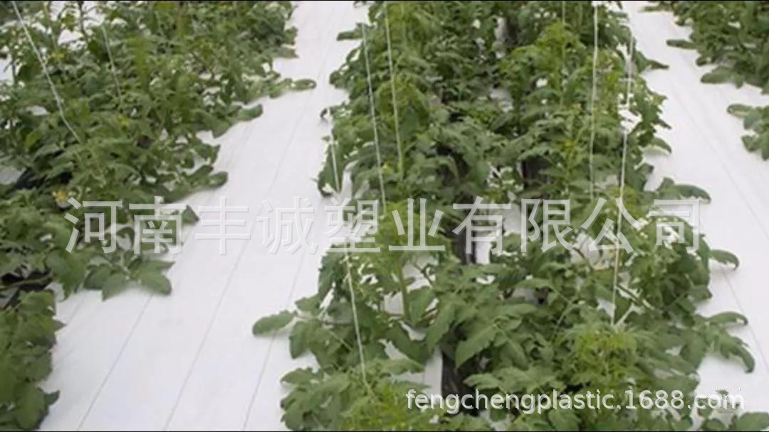 微信图片_20200925173811.jpg