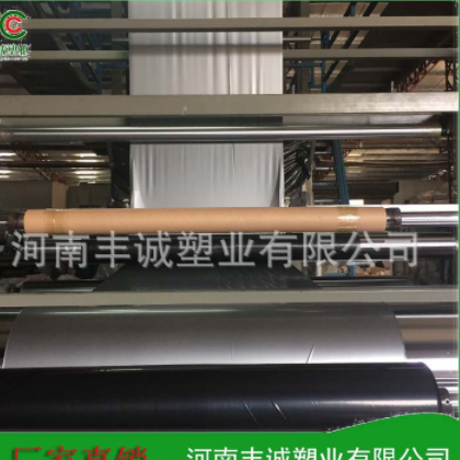 供应银黑打孔地膜 黑膜黑白膜 透明打孔膜 1.5-6丝打孔膜可做图3