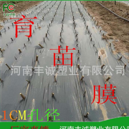 供应银黑打孔地膜 黑膜黑白膜 透明打孔膜 1.5-6丝打孔膜可做图2