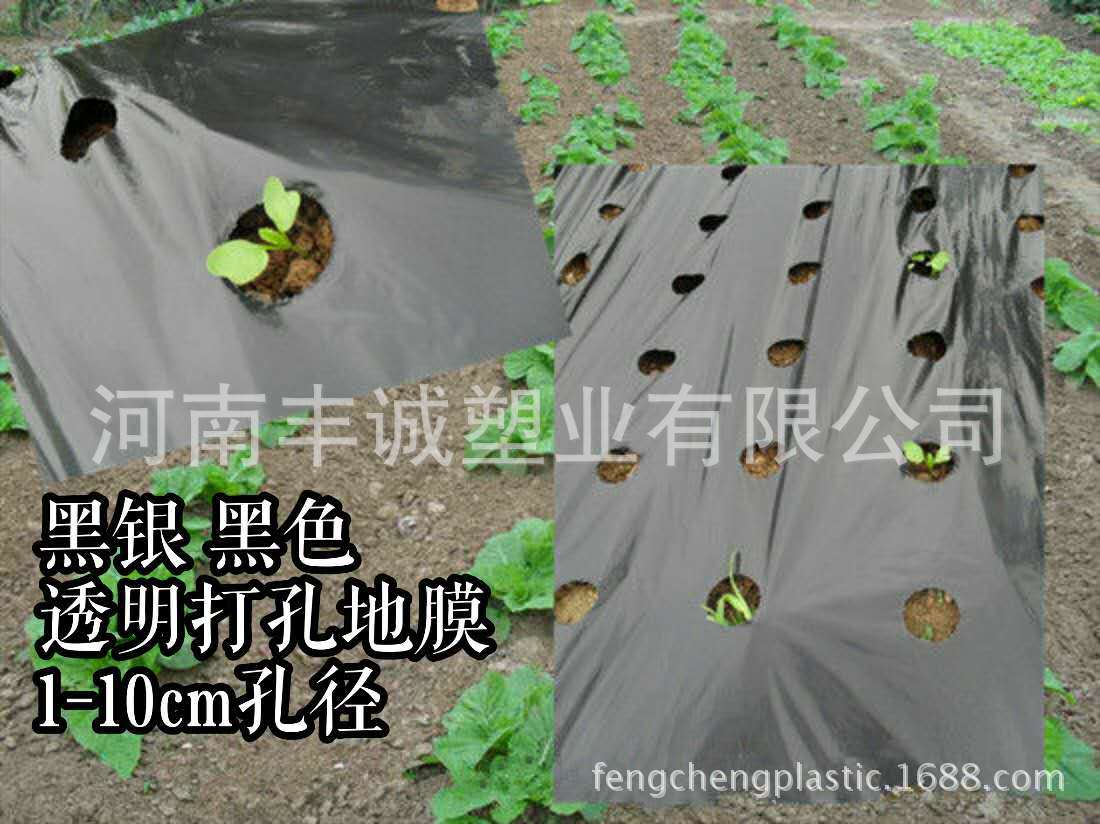 QQ图片20170222110712
