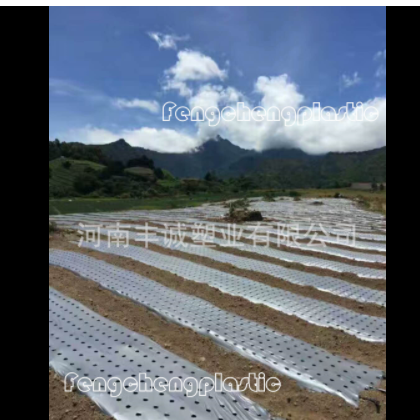 出售打孔地膜农用打孔膜 育苗膜 除草地膜 全新料打孔膜图2