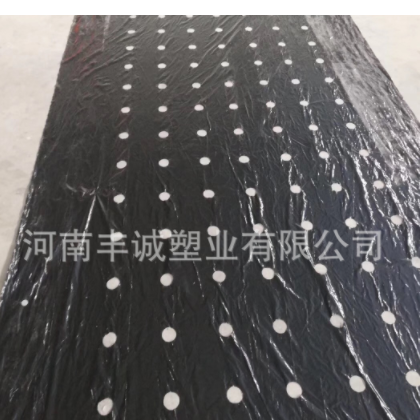 出售打孔地膜农用打孔膜 育苗膜 除草地膜 全新料打孔膜图3