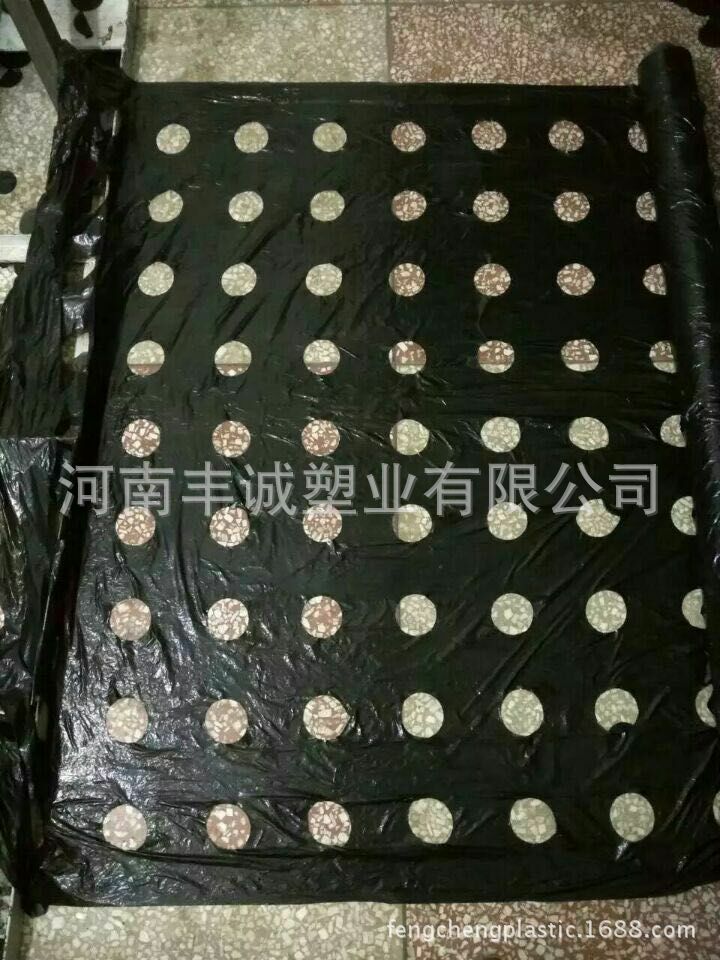3548941720_45226857