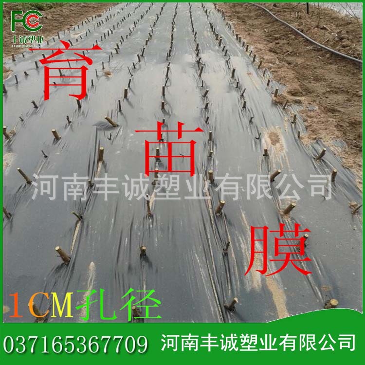 打孔膜9
