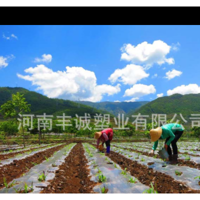 2022西瓜、草莓用地膜，1到2丝银黑地膜塑料薄膜农用薄膜