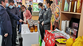 法国果蔬展览会 SITEVI