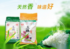 江西省樟树粮油公司
