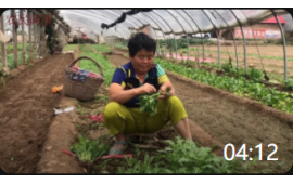 04:12 农村大娘搭建大棚种植蔬菜，现在一年能收益多少钱？太不容易了